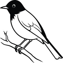 Robin perched on a tree branch silhouette vector illustration 