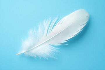 Obraz premium White feather flying on blue background. Abstract bird feather falling on color background. Symbol of peace or freedom concept. Generated AI