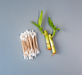 Bamboo cotton ear buds with bamboo shoot 