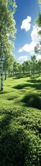Obraz premium Lush green landscape with birch trees under a bright blue sky during daylight