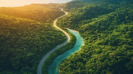 Aerial view of winding road beside river in lush green jungle.