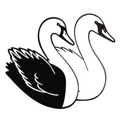 two swans on the water