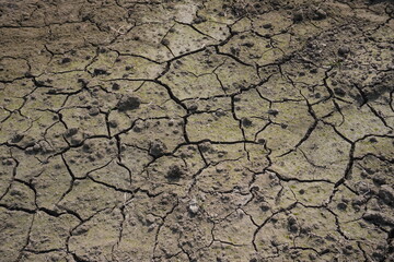 The cracked soil, a common phenomenon in dry environments, especially with clay-rich soils, the cracks form as the soil loses moisture and shrinks