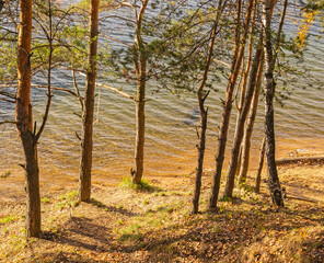 descent to the water by autumn forest lake