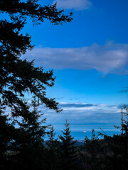 ship on blue ocean looking through the forest