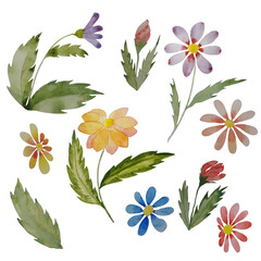 A beautiful collection of watercolor meadow flowers and leaves in vibrant colors. Includes diverse set of elements floral designs perfect for DIY projects, scrapbooking, invitations, and creative art.