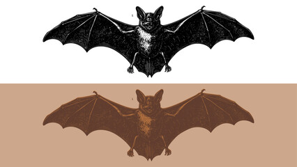 vintage style bat etching engraving illustration in vector format