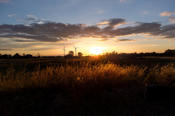 Malerische Abendstimmung über Ölands Wäldern