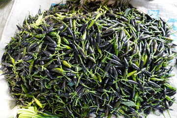 Fresh green chillis has stored in the vegetable godown 