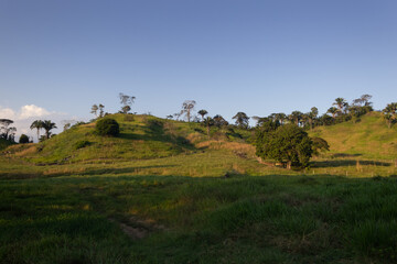 Obraz premium Landscape view of the hill with blue sky background in the morning.