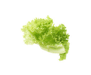 Fresh leaf of lettuce isolated on white