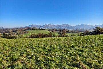 autumn landscape with green meadows and trees near the village of Tichá