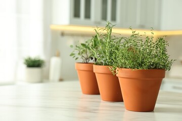 Different aromatic herbs in pots on white marble table in kitchen space for text