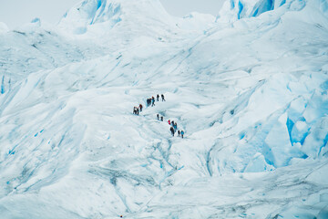 Amazing Glaciar
