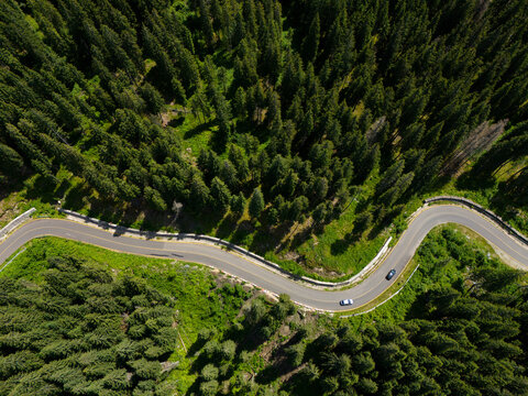 Winding road trough dense pine forest. Aerial drone view, top down
