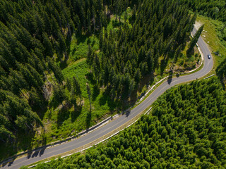 Winding road trough dense pine forest. Aerial drone view, top down