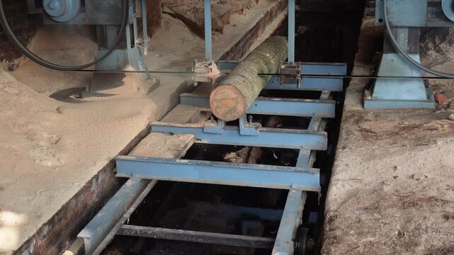 The tree converted into pieces by the saw machine