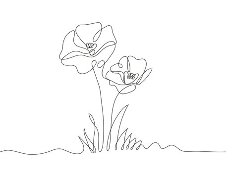 Continuous line drawing of two poppies growing in grass, symbolizing remembrance and honoring the memory of fallen heroes.