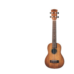 Obraz premium a classic ukulele in white background