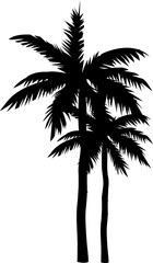 Tropical Plant Silhouette, Tropical palm leaves Silhouette Vector Illustration
