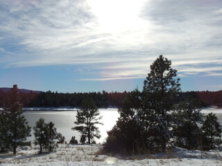 winter landscape with trees and snow
