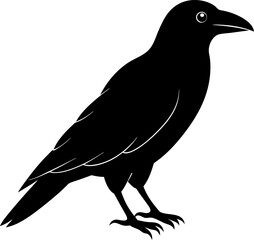 crow Silhouette Stock Illustrations