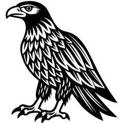 american eagle black silhouette vector with white background. Wild animal vector, icon