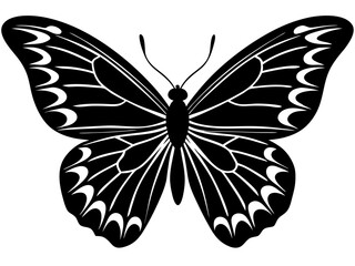 butterfly black silhouette vector with white background.