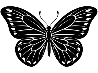 butterfly black silhouette vector with white background.