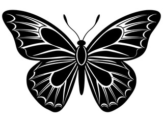 butterfly black silhouette vector with white background.