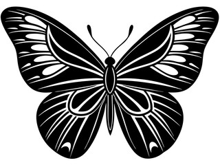 butterfly black silhouette vector with white background.