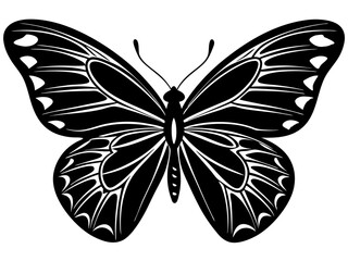 butterfly black silhouette vector with white background.