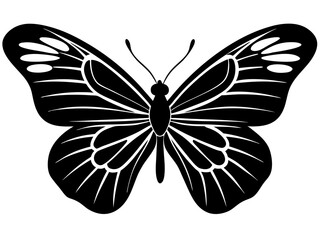 butterfly black silhouette vector with white background.
