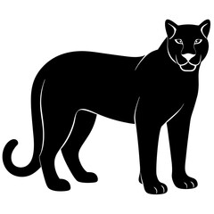 cougar black silhouette vector with white background. Wild animal vector