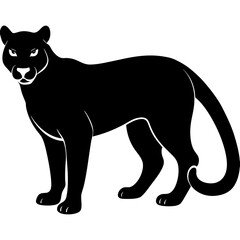 cougar black silhouette vector with white background. Wild animal vector