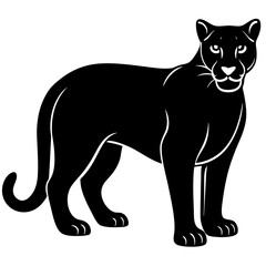 cougar black silhouette vector with white background. Wild animal vector