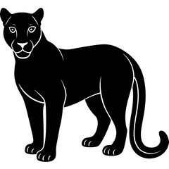 cougar black silhouette vector with white background. Wild animal vector