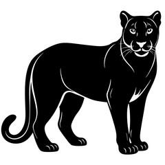 cougar black silhouette vector with white background. Wild animal vector
