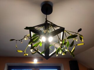 Lamp © RobRober