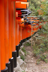 Side of many japanese torii gates in Kyoto at Fushimi Inari-Taisha shrine
