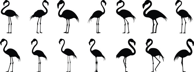 Flamingo silhouette set vector design big pack of bird illustration and icon