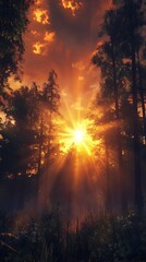Obraz premium A serene sunset illuminating a forest with rays of light piercing through the trees.