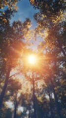 Obraz premium A sunbeam filters through a lush forest, creating a serene and tranquil atmosphere.