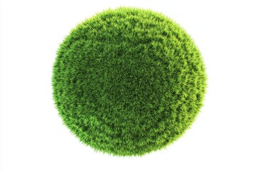 plant shown in isolation on a white background using a clipping path