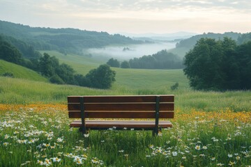 Wooden bench overlooking a wildflower meadow in a rural valley