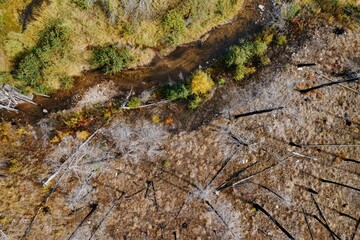Aerial view of a burned forest area with a small creek. Dead trees and debris litter the landscape. Nature's resilience. , Lolo, Montana, USA.
