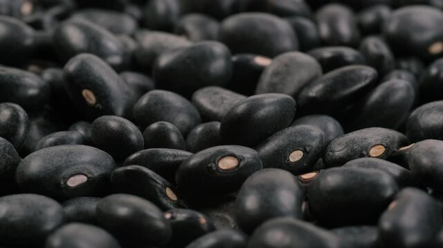 Heap of dried uncooked black bean seeds (black turtle beans). Slider shot. Depth of field, selective focus. Texture of grains. Cooking, legumes, healthy eating, food, salad concepts. 4k. Macro view.