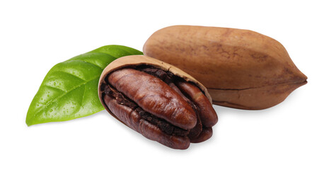 Tasty pecan nuts and green leaf isolated on white