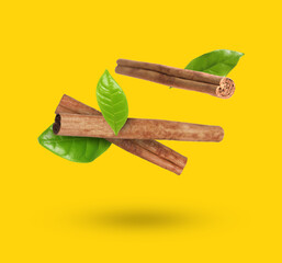 Cinnamon sticks and green leaves in air on golden background