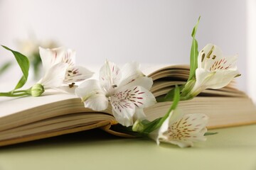 Book and beautiful alstroemeria flowers on green table against light background, closeup